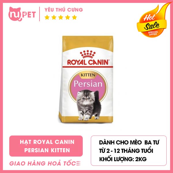 Thức ăn hạt Royal Canin Persian Kitten