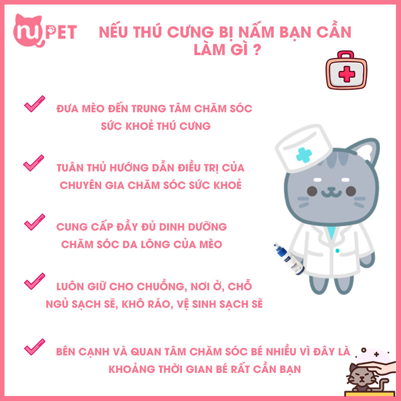 Chăm sóc thú cưng bệnh