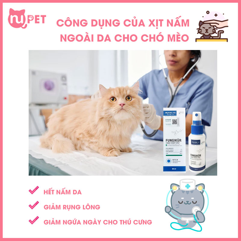 Công dụng của xịt nấm Fungikur