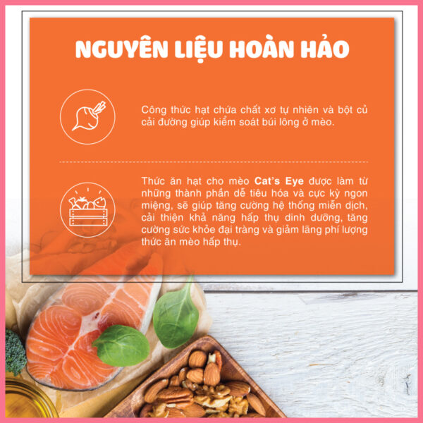 Hạt thức ăn Cat eye 4