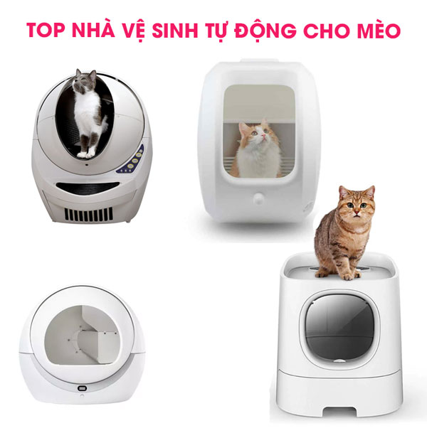 6 mẫu nhà vệ sinh cho mèo, 4 nhà vệ sinh tự động cho mèo