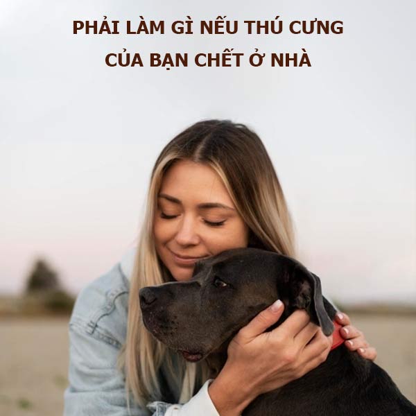 cham-soc-thu-cung-nhung-ngay-cuoi-doi-1