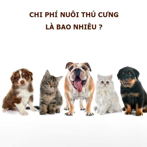 chi-phi-nuoi-thu-cung-la-bao-nhieu