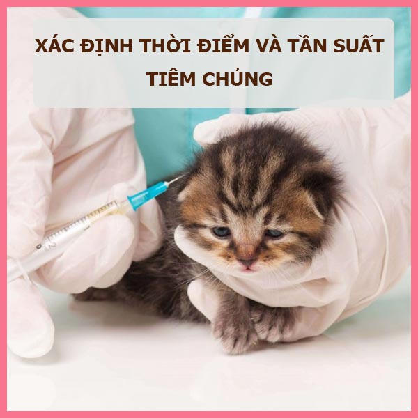 vac-xin-cho-thu-cung-2