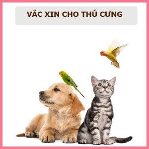 vac-xin-cho-thu-cung