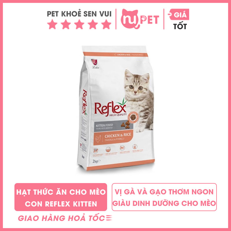hạt mèo reflex kitten cho mèo