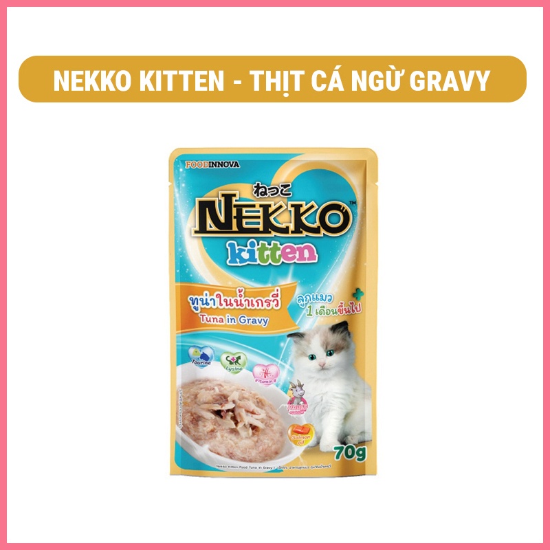 pate-nekko-kitten-nupet-7 Pate nekko kitten Nupet 7