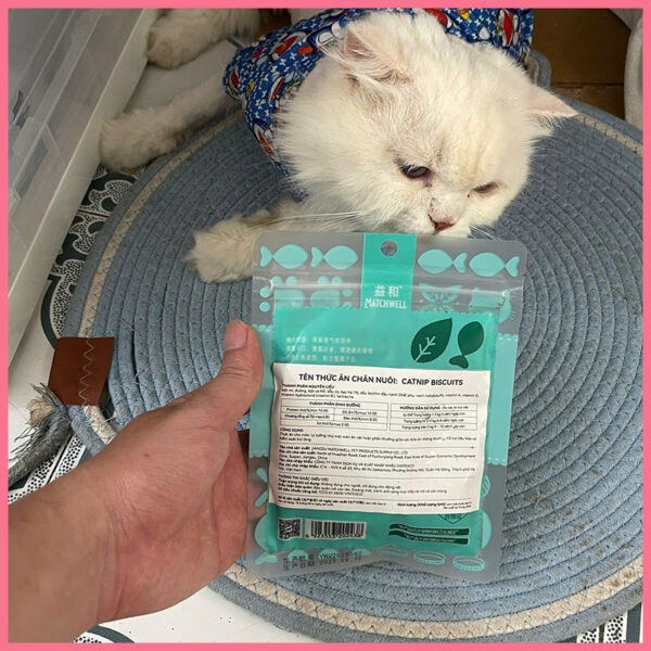 Bánh thưởng cá catnip cho mèo 2