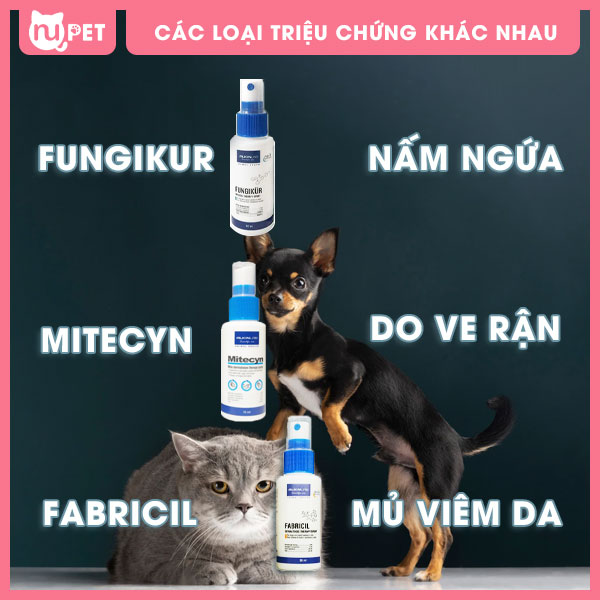 So-sánh-Fungikur-Mitecyn-và-Fabricil-khác-nhau-như-thế-nào-Bạn-nên-mua-loại-nào-nupet-2