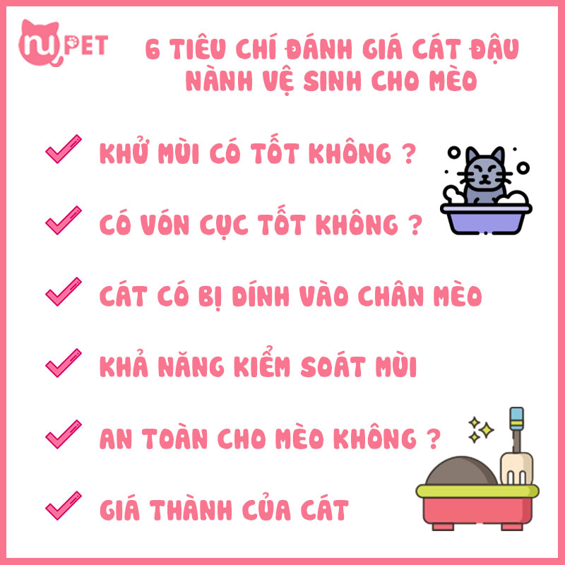 6 tiêu chí đánh giá cát vệ sinh