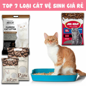 Review 7 loại cát giá rẻ