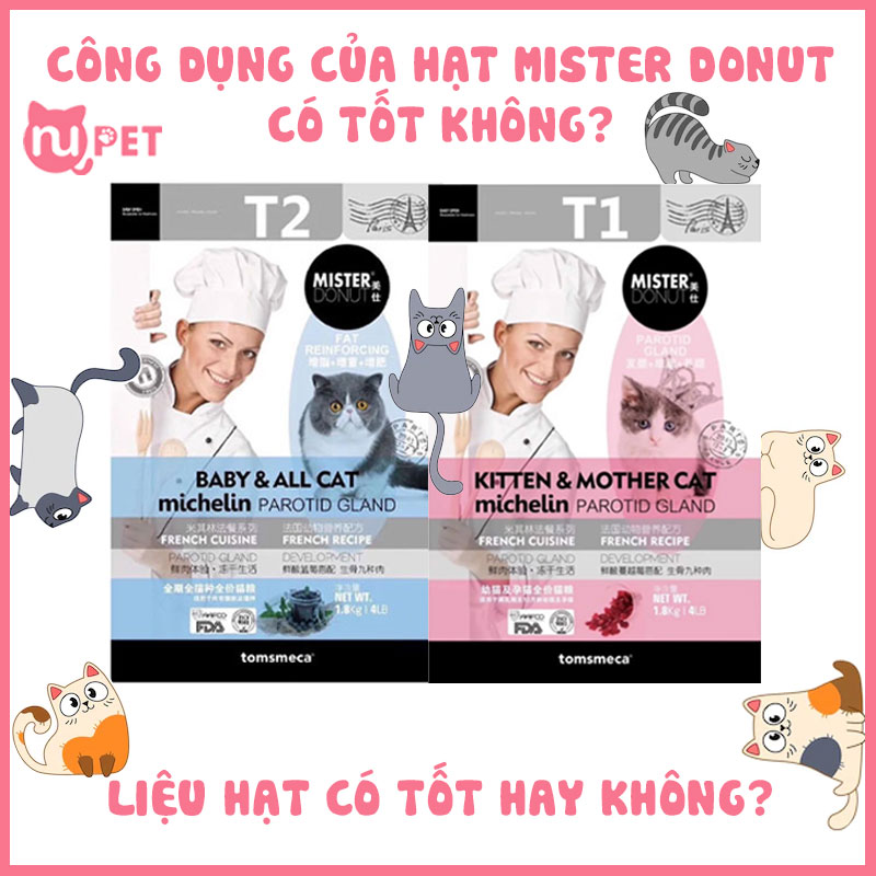 Công dụng của hạt Mister donut có tốt không?