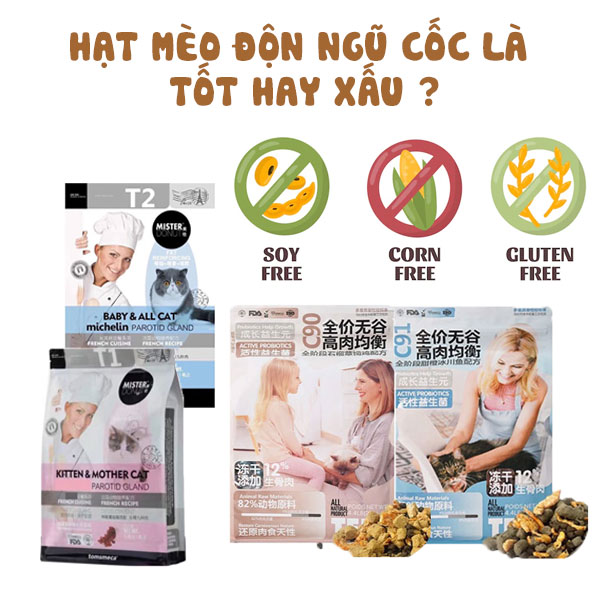 Độn ngũ cốc vào hạt mèo là tốt hay xấu ?