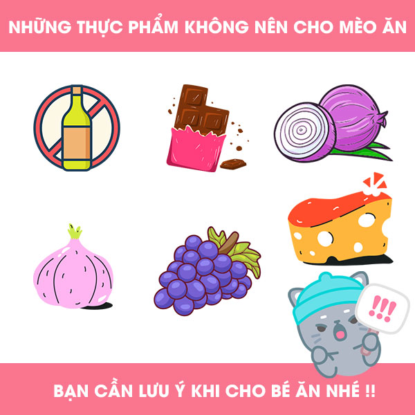 những thực phẩm cần lưu ý khi cho mèo ăn