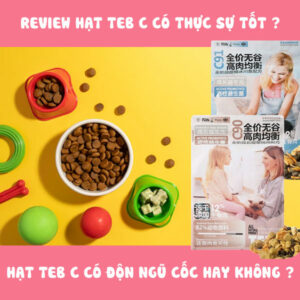 Review hạt Teb C có tốt không ?