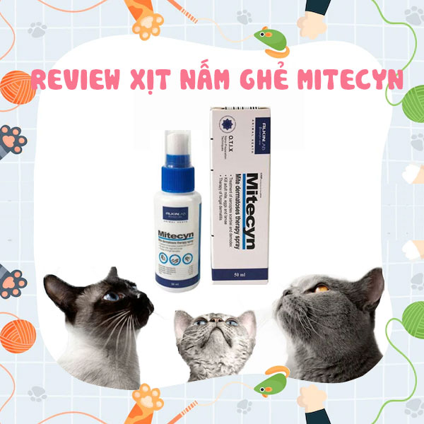 Review-xịt-nấm-ghẻ-mitecyn