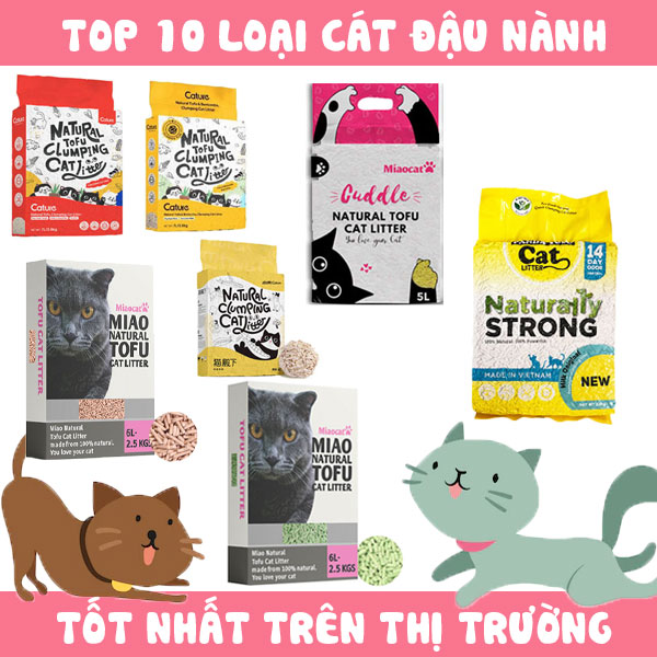 Top 10 loại cát đậu nành tốt nhất trên thị trường