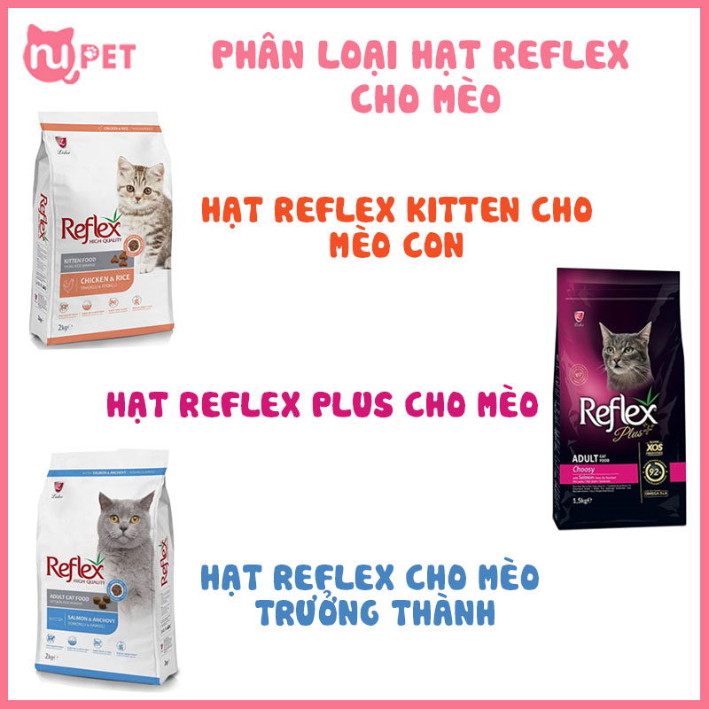 Phân loại hạt reflex cho mèo