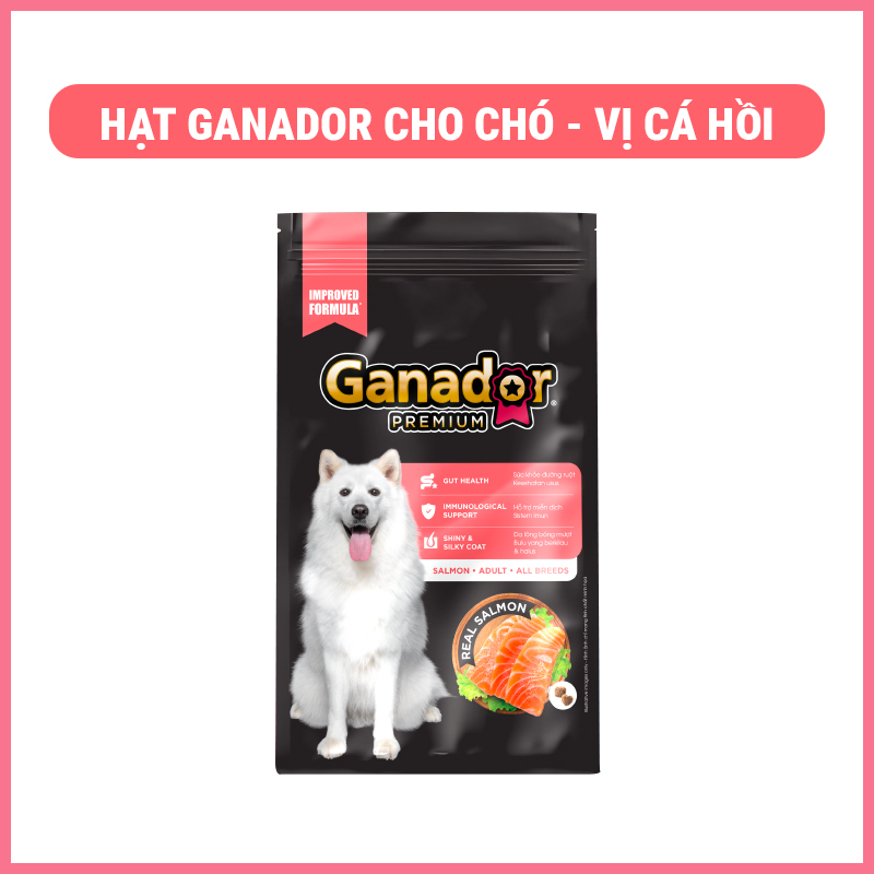 hat-ganador-mau-moi-2 Hạt ganador cho chó mẫu mới 2