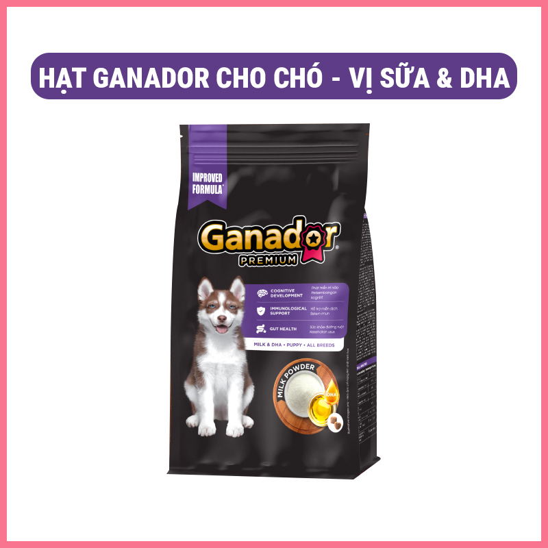 hat-ganador-mau-moi-3 Hạt ganador cho chó mẫu mới 3
