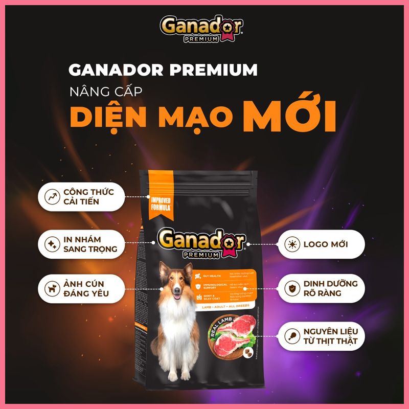 hat-ganador-mau-moi-4 Hạt ganador cho chó mẫu mới 4