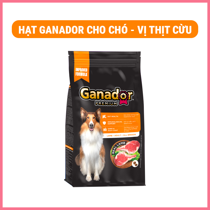 hat-ganador-mau-moi Hạt ganador cho chó mẫu mới 1