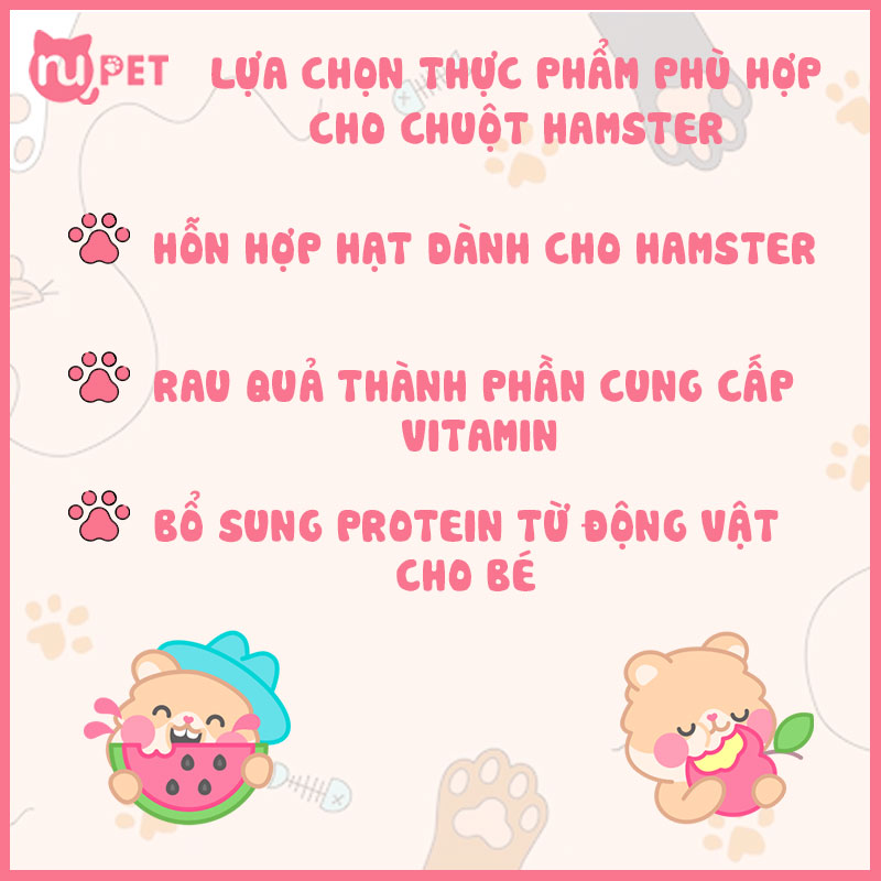 Lựa chọn thực phẩm cho chuột hamster