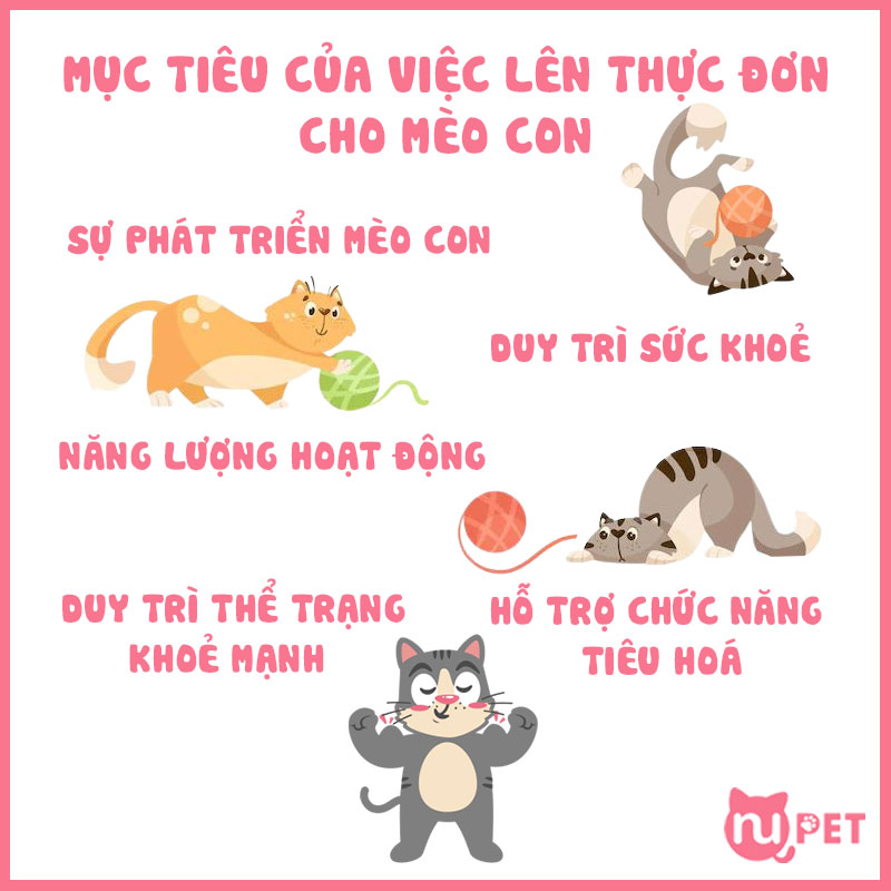 mục tiêu của việc lên thực đơn cho mèo