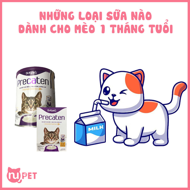 Những loại sữa dành cho mèo 1 tháng tuổi