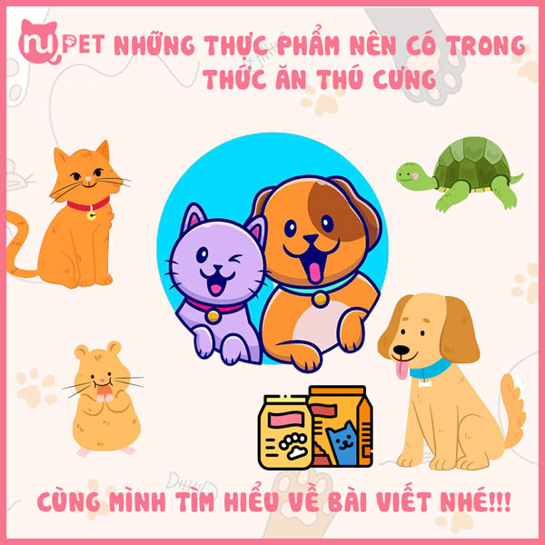 Những thực phẩm nên có trong thức ăn thú cưng