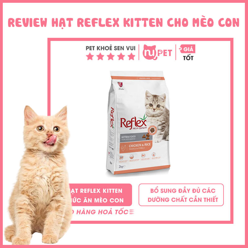 review hạt reflex kitten