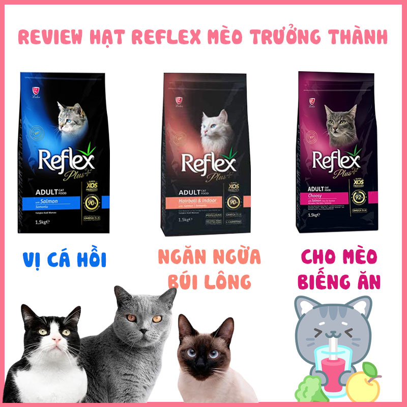 Review-hat-reflex-plus