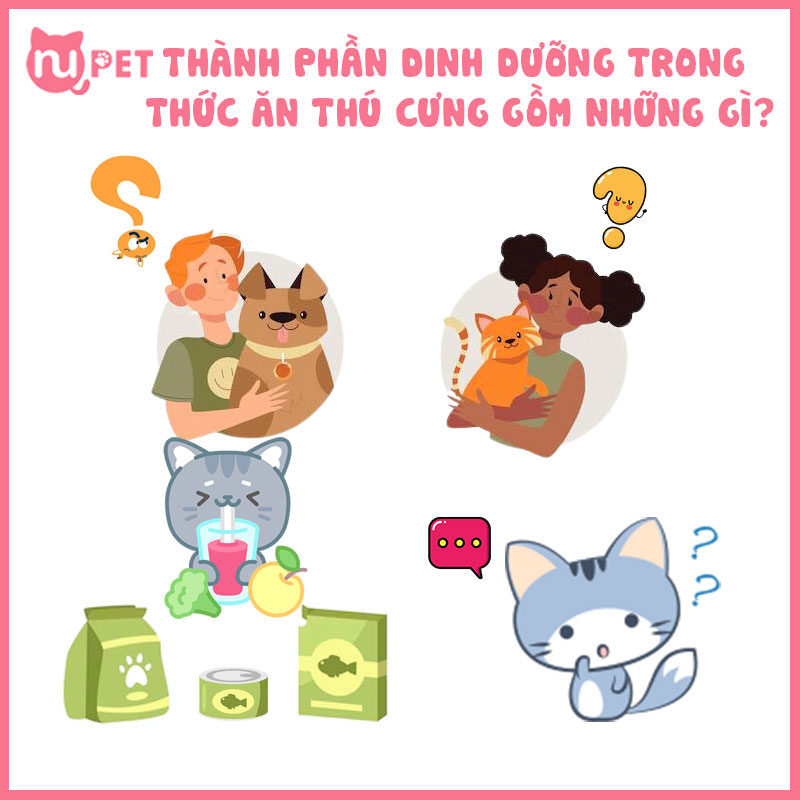 Thành phần dinh dưỡng gồm những gì ?