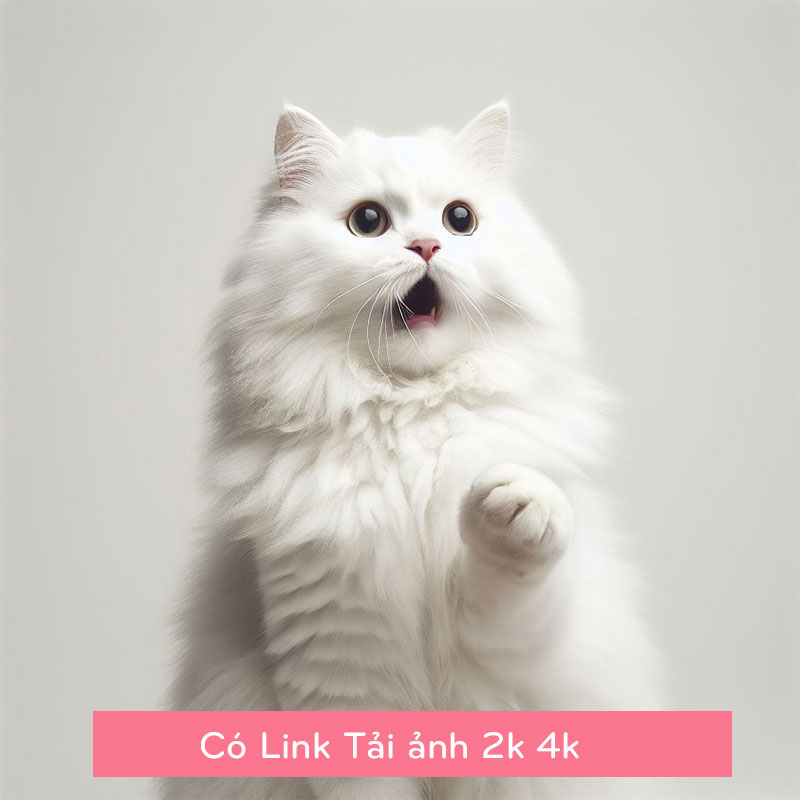 TOP 99+ meme mèo đáng yêu, ảnh mèo chế siêu hài hước mới nhất