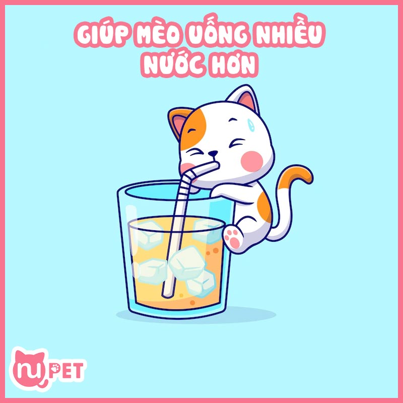 Giúp mèo uống nước nhiều hơn