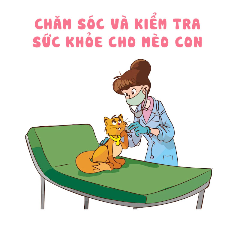 Chăm sóc và kiểm tra sức khoẻ cho mèo