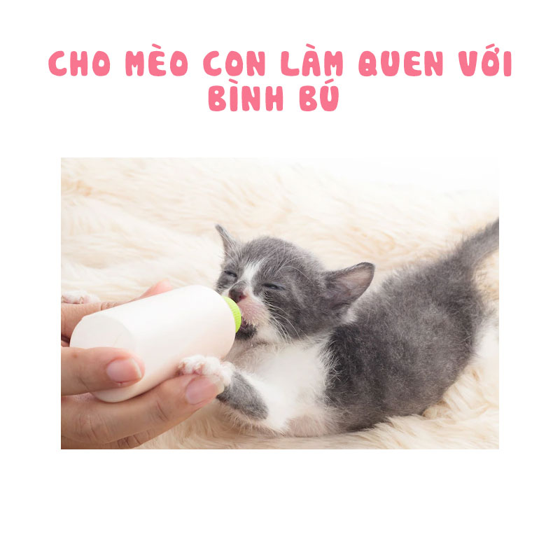 Cho chúng tập làm quen với bình bú