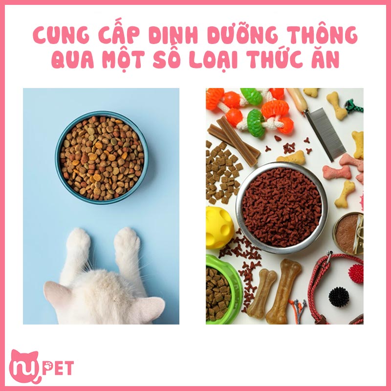 Cung cấp dinh dưỡng thông qua một số loại thức ăn hạt