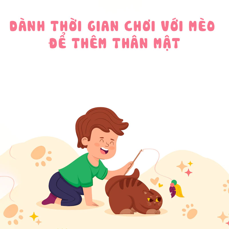 Dành thời gian để chơi với mèo