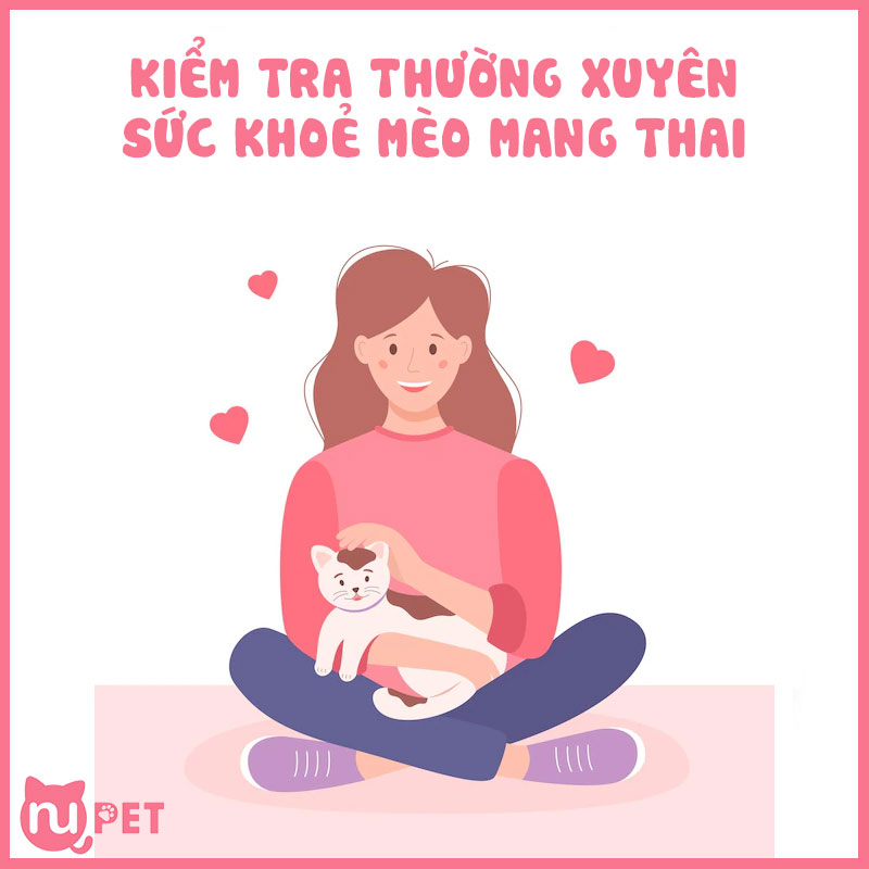 Kiểm tra sức khoẻ mèo đang mang thai