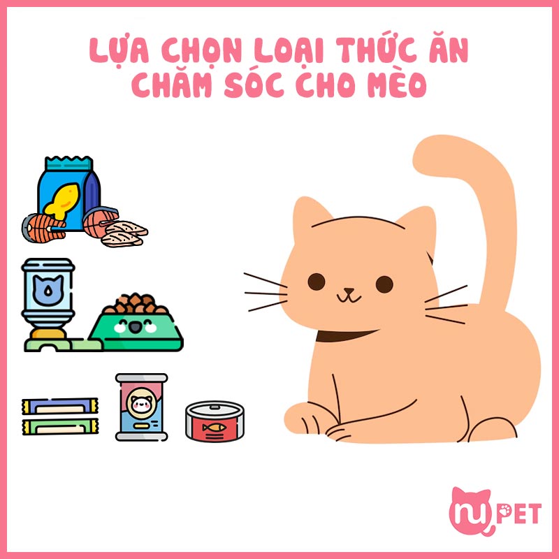 Lựa chọn đúng loại thức ăn cho mèo trưởng thành