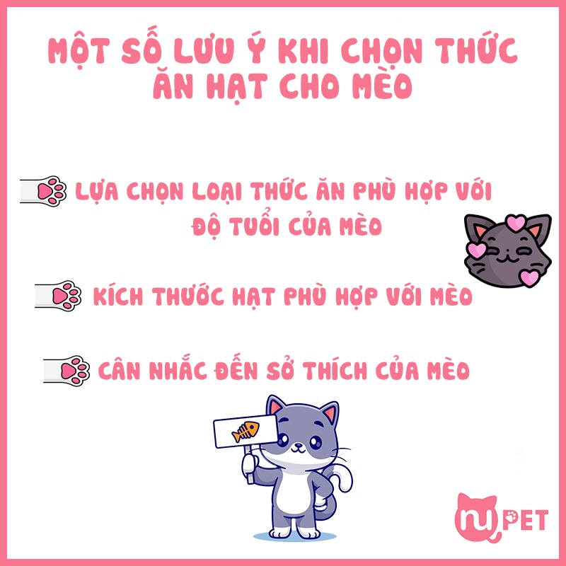 Một số lưu ý khi lựa chọn hạt cho mèo