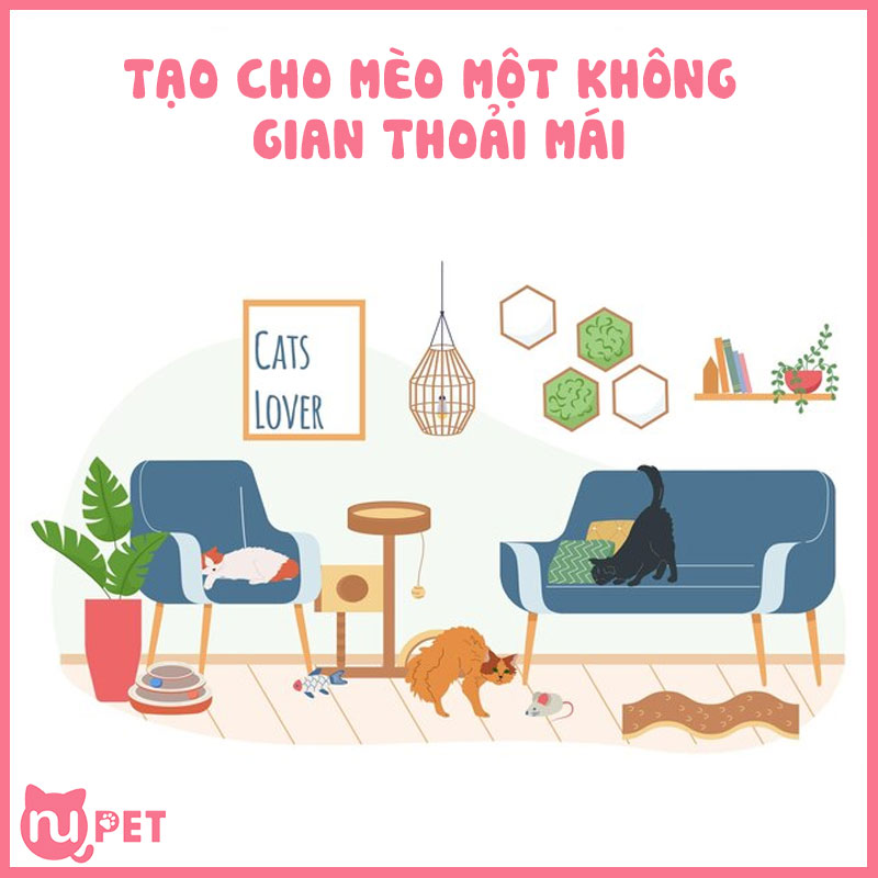 Tạo cho mèo một không gian thoải mái