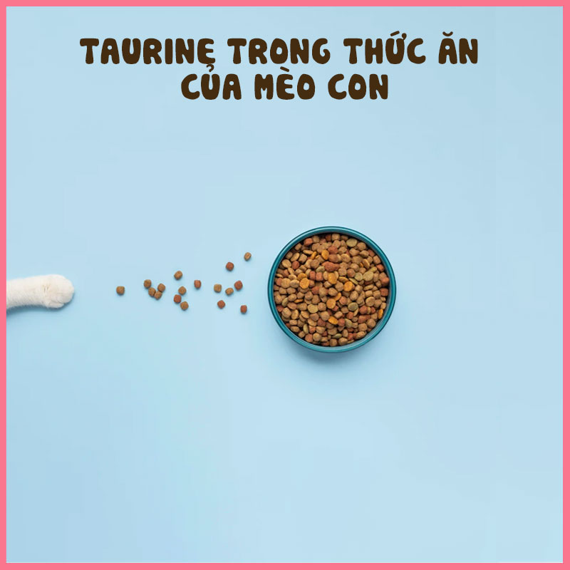 Taurine trong thức ăn của mèo