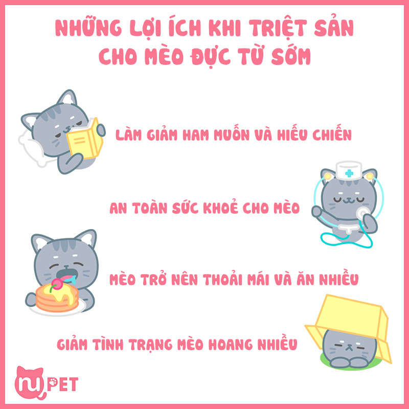 Lợi ích từ việc triệt sản từ sớm
