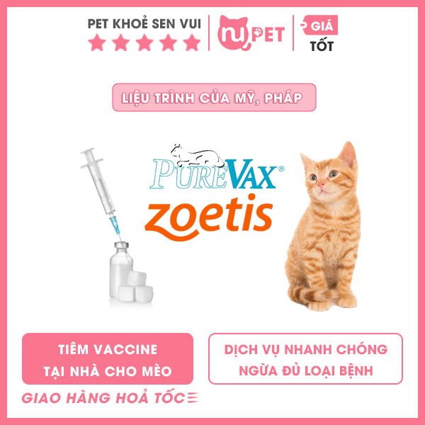 dich-vu-tiem-vaccine-cho-meo-tai-nha-nupet-1