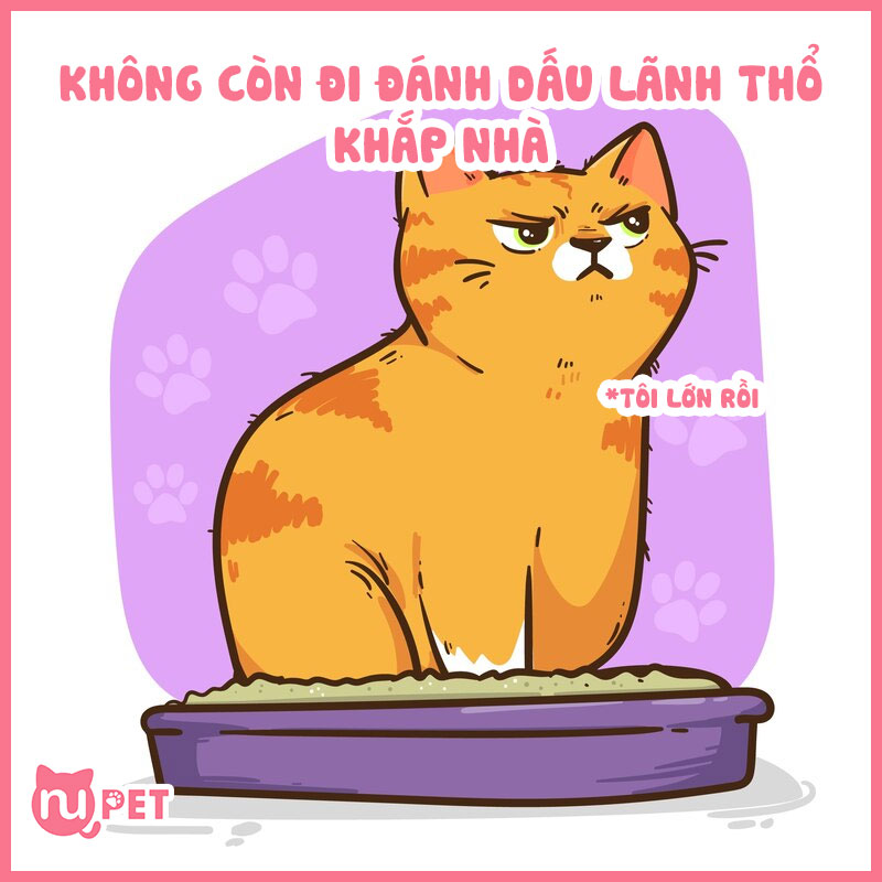 Không còn những hành vi, thói quen xấu