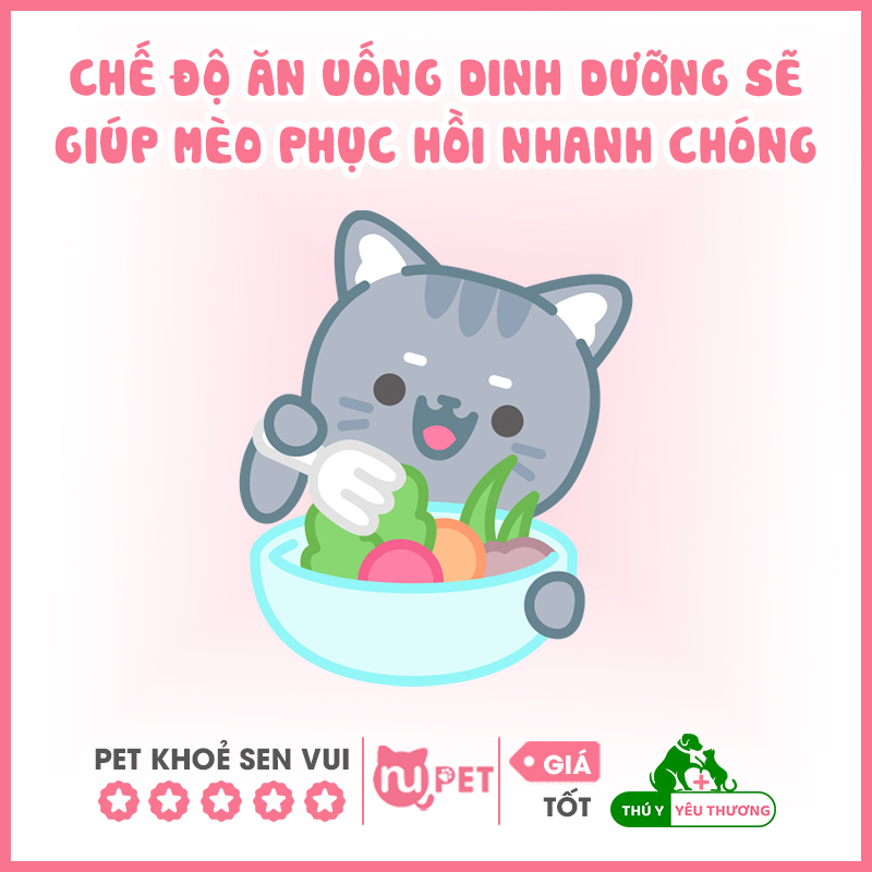 Chế độ ăn giàu dinh dưỡng