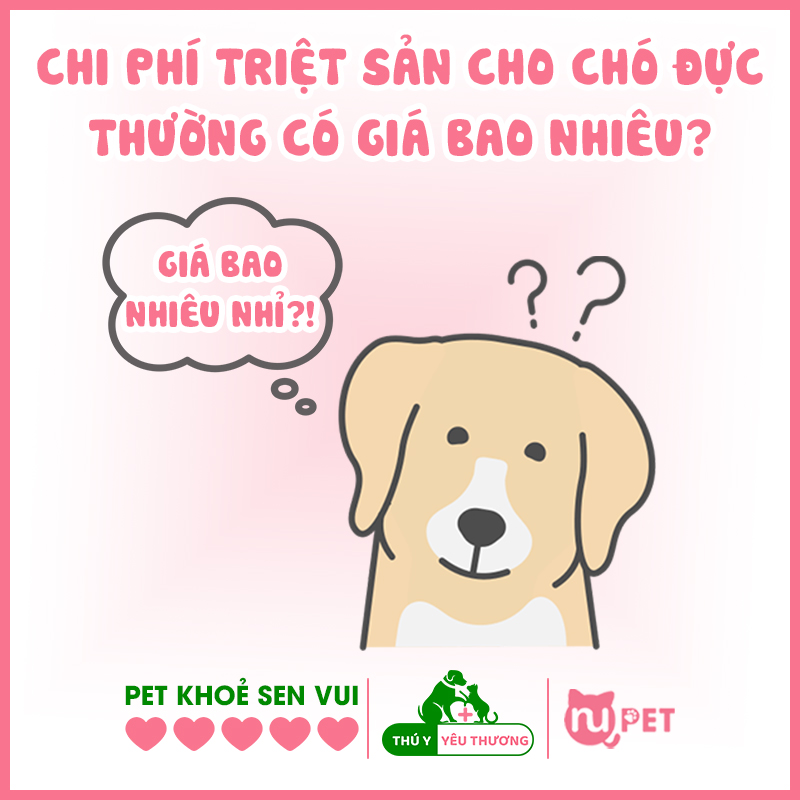 Chi phí triệt sản chó đực thường có giá bao nhiêu?