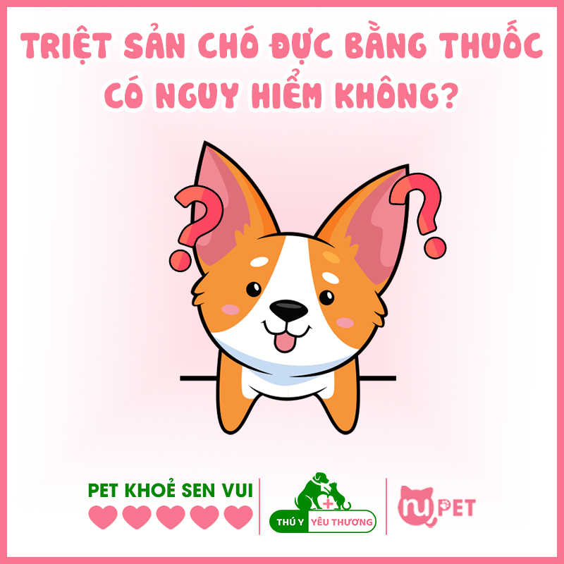 Chích thuốc triệt sản có nguy hiểm không